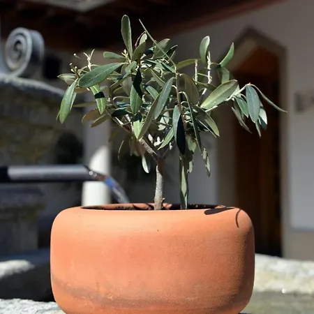 Convento De Balsamão, Turismo, Saúde E Bem Estar Chacim